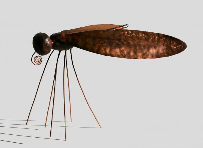 L'insecte 2