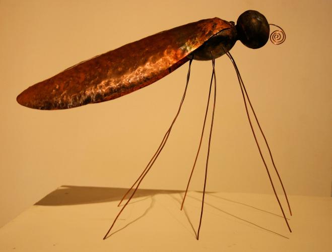 L'insecte