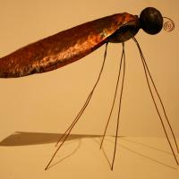 L'insecte